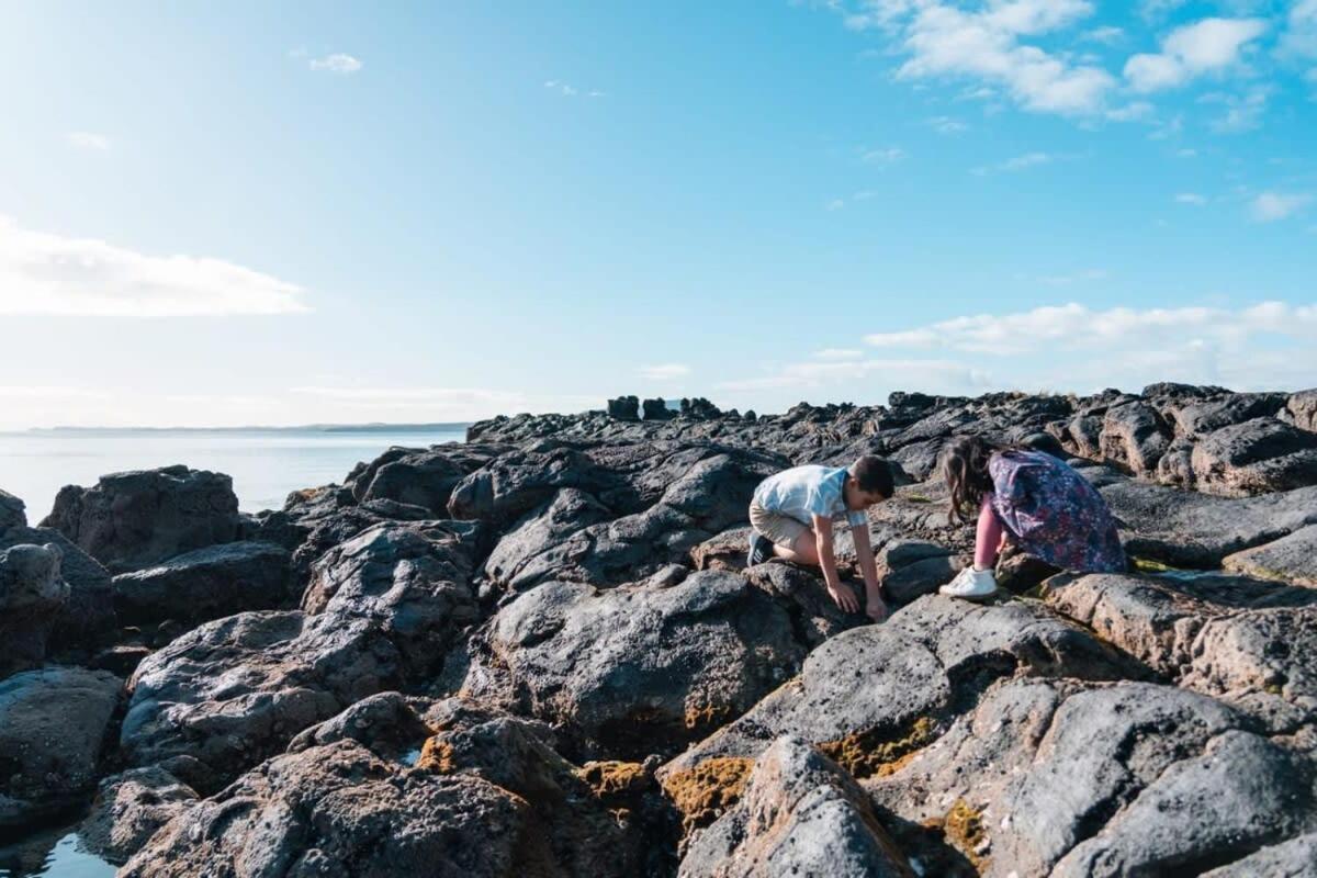 Takapuna Beachfront W Stunning Views Auckland Eksteriør bilde